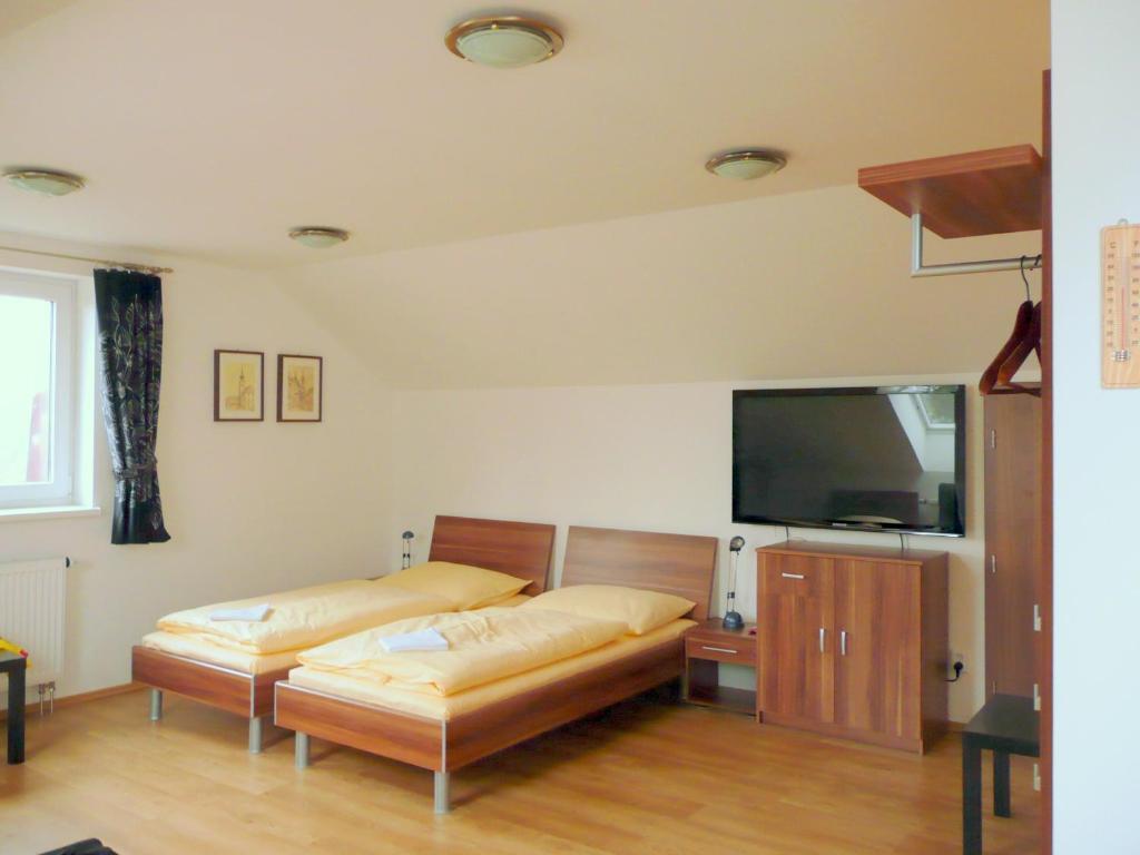 Ami Penzionブルノ 部屋 写真